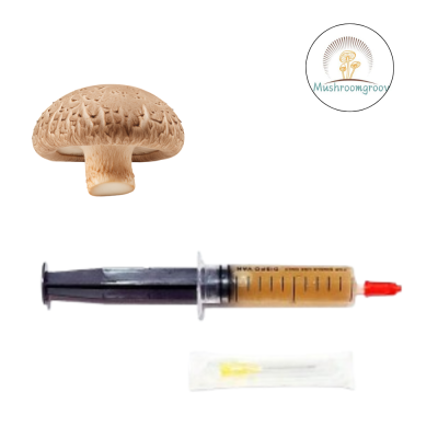 Premium Shiitake 10 ml Liquid Culture – Fast-Colonizing Strain