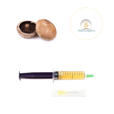 Premium Portobello 10 ml Liquid Culture – Fast-Colonizing Strain