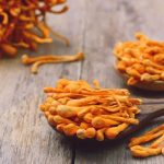Cordyceps for Men and Women: Natural Support for Energy and Vitality